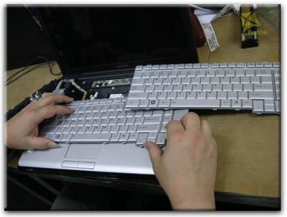Ремонт клавиатуры на ноутбуке Toshiba в Дмитрове